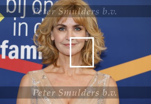 Amsterdam 15 maart 2024
Boekenbal in de stadschouwburg.