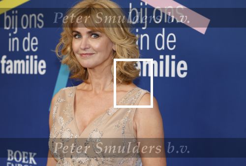 Amsterdam 15 maart 2024
Boekenbal in de stadschouwburg. daphne Deckers