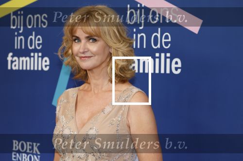 Amsterdam 15 maart 2024
Boekenbal in de stadschouwburg. daphne Deckers
