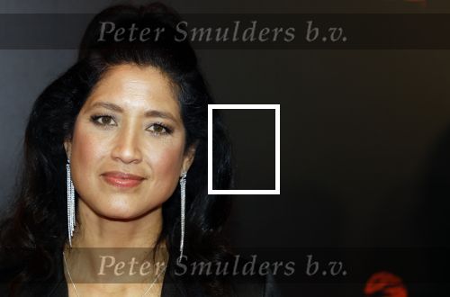 Amsterdam 18 maart 2024
Premiere Spinx in Pathe Tuschinski met in de cast oa Delilah Warcup v Eyck