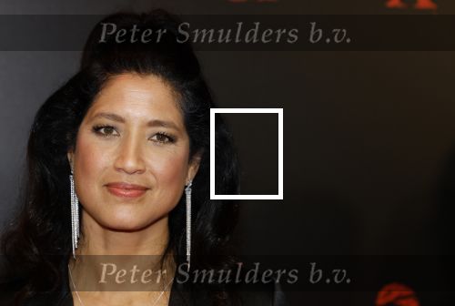 Amsterdam 18 maart 2024
Premiere Spinx in Pathe Tuschinski met in de cast oa Delilah Warcup v Eyck