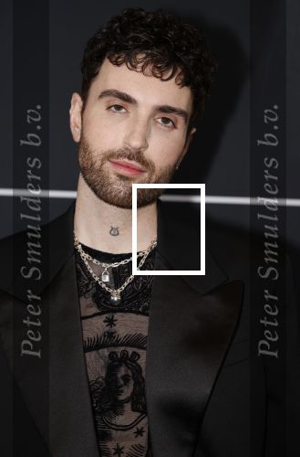 Leusden 4 maart 2024
Uitreikings edisons pop 2024 in het AFAS theater in Leusden. Duncan Laurence
