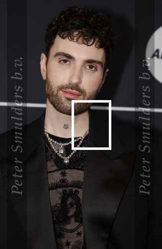 Leusden 4 maart 2024
Uitreikings edisons pop 2024 in het AFAS theater in Leusden. Duncan Laurence