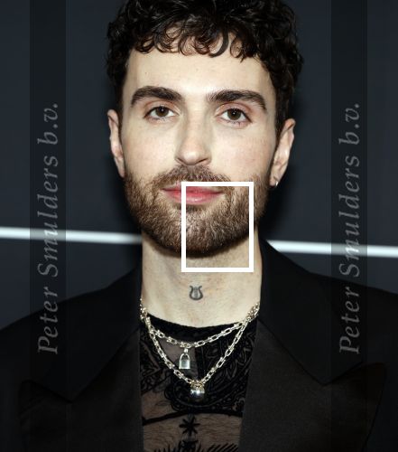 Leusden 4 maart 2024
Uitreikings edisons pop 2024 in het AFAS theater in Leusden. Duncan Laurence