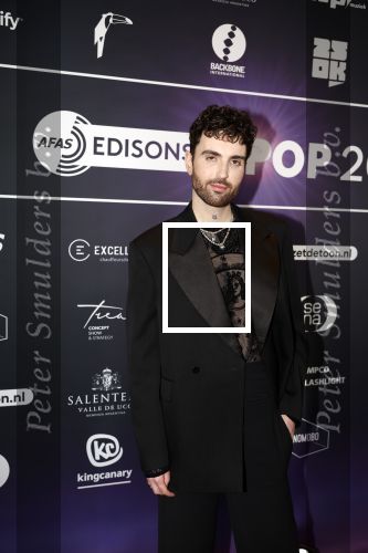 Leusden 4 maart 2024
Uitreikings edisons pop 2024 in het AFAS theater in Leusden. Duncan Laurence