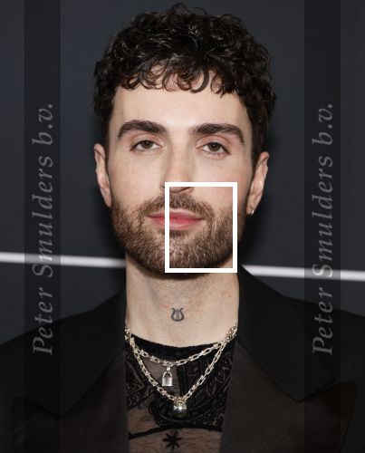 Leusden 4 maart 2024
Uitreikings edisons pop 2024 in het AFAS theater in Leusden. Duncan Laurence