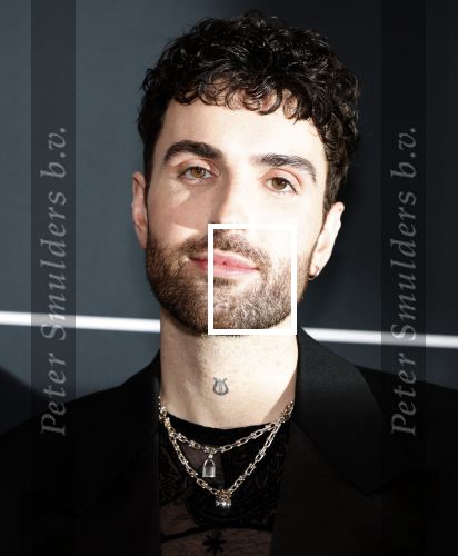 Leusden 4 maart 2024
Uitreikings edisons pop 2024 in het AFAS theater in Leusden. Duncan Laurence