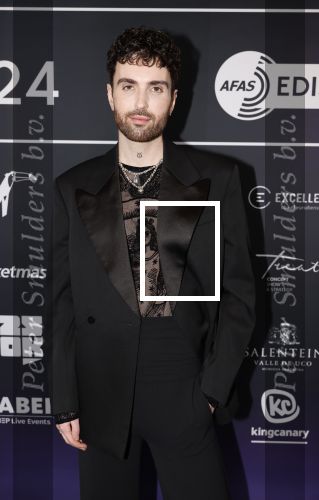Leusden 4 maart 2024
Uitreikings edisons pop 2024 in het AFAS theater in Leusden. Duncan Laurence