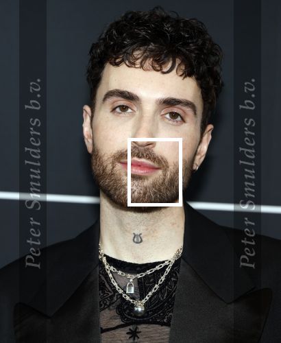 Leusden 4 maart 2024
Uitreikings edisons pop 2024 in het AFAS theater in Leusden. Duncan Laurence