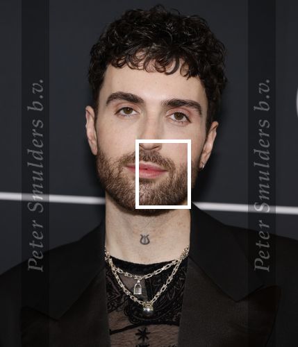 Leusden 4 maart 2024
Uitreikings edisons pop 2024 in het AFAS theater in Leusden. Duncan Laurence