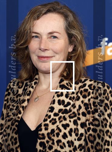 Amsterdam 15 maart 2024
Boekenbal in de stadschouwburg. Esther Gerritsen