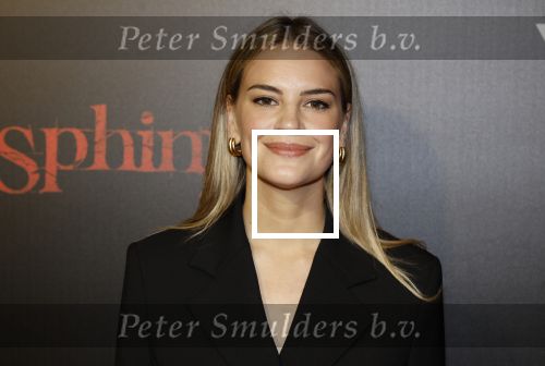 Amsterdam 18 maart 2024
Premiere Spinx in Pathe Tuschinski met in de cast oa Andrea Vass Benja Bruijning Chardonnay Rillen Delilah Warcup v Eyck Eva v Heijningen Marvcel Hensema Rami Kooti Arab Rifka Lodeizen Sallie Harmsen en Sil v d Zwan. Eva Laurenssen