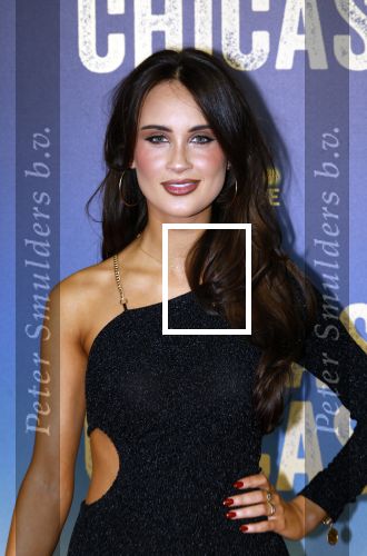 Amsterdam 4 maart 2024
Premiere Buenas Chicas in Tuschinski met oa Susan radder Noel v Kleef Britt Scholte Thijs Boermans Juvat westendorp Robin Frings Felice Poppeliers en Christina Zaragoza.