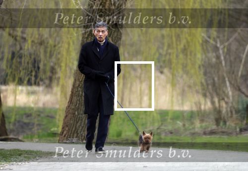 Amsterdam 9 maart 2024
Gerard Spong rijdt met zijn Rolls Royce naar het park om zijn hond uit te laten.