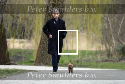 Amsterdam 9 maart 2024
Gerard Spong rijdt met zijn Rolls Royce naar het park om zijn hond uit te laten.