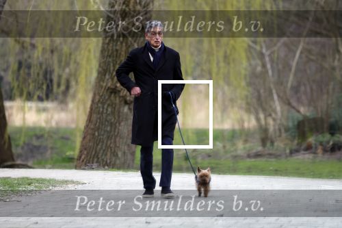 Amsterdam 9 maart 2024
Gerard Spong rijdt met zijn Rolls Royce naar het park om zijn hond uit te laten.