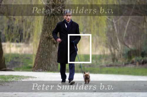 Amsterdam 9 maart 2024
Gerard Spong rijdt met zijn Rolls Royce naar het park om zijn hond uit te laten.
