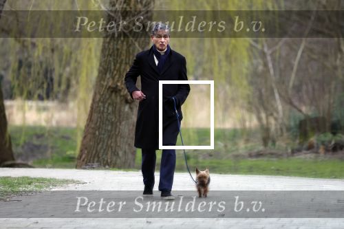 Amsterdam 9 maart 2024
Gerard Spong rijdt met zijn Rolls Royce naar het park om zijn hond uit te laten.