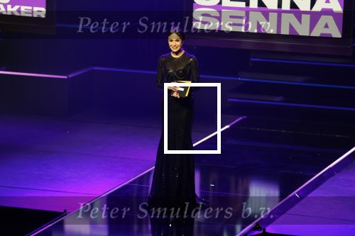 Leusden 4 maart 2024
Uitreikings edisons pop 2024 in het AFAS theater in Leusden. Holly Brood