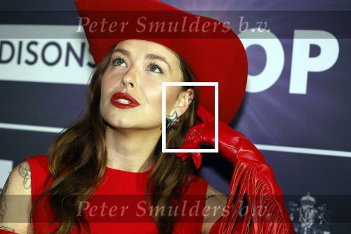 Leusden 4 maart 2024
Uitreikings edisons pop 2024 in het AFAS theater in Leusden. Irene Hin