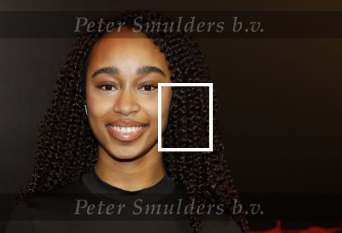 Amsterdam 18 maart 2024
Premiere Spinx in Pathe Tuschinski met in de cast oa Andrea Vass Benja Bruijning Chardonnay Rillen Delilah Warcup v Eyck Eva v Heijningen Marvcel Hensema Rami Kooti Arab Rifka Lodeizen Sallie Harmsen en Sil v d Zwan. Jada Blagrove