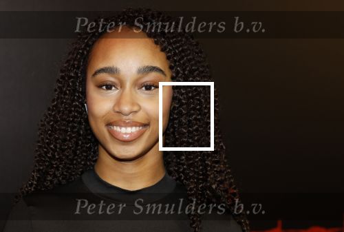 Amsterdam 18 maart 2024
Premiere Spinx in Pathe Tuschinski met in de cast oa Andrea Vass Benja Bruijning Chardonnay Rillen Delilah Warcup v Eyck Eva v Heijningen Marvcel Hensema Rami Kooti Arab Rifka Lodeizen Sallie Harmsen en Sil v d Zwan. Jada Blagrove