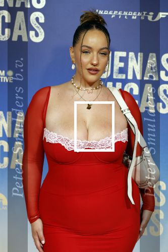 Amsterdam 4 maart 2024
Premiere Buenas Chicas in Tuschinski met oa Susan radder Noel v Kleef Britt Scholte Thijs Boermans Juvat westendorp Robin FringsFelice Poppeliers en Christina Zaragoza.