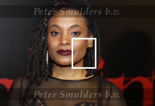 Amsterdam 18 maart 2024
Premiere Spinx in Pathe Tuschinski met in de cast oa Andrea Vass Benja Bruijning Chardonnay Rillen Delilah Warcup v Eyck Eva v Heijningen Marvcel Hensema Rami Kooti Arab Rifka Lodeizen Sallie Harmsen en Sil v d Zwan. Joy Wielkens kwam met haar partner