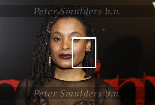Amsterdam 18 maart 2024
Premiere Spinx in Pathe Tuschinski met in de cast oa Andrea Vass Benja Bruijning Chardonnay Rillen Delilah Warcup v Eyck Eva v Heijningen Marvcel Hensema Rami Kooti Arab Rifka Lodeizen Sallie Harmsen en Sil v d Zwan. Joy Wielkens kwam met haar partner