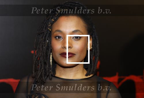 Amsterdam 18 maart 2024
Premiere Spinx in Pathe Tuschinski met in de cast oa Andrea Vass Benja Bruijning Chardonnay Rillen Delilah Warcup v Eyck Eva v Heijningen Marvcel Hensema Rami Kooti Arab Rifka Lodeizen Sallie Harmsen en Sil v d Zwan. Joy Wielkens kwam met haar partner
