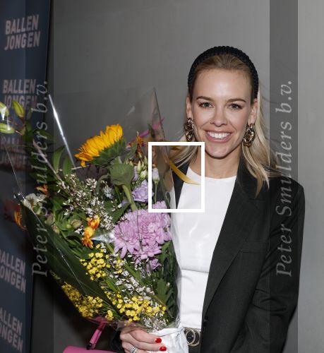 Amsterdam 27 maart 2024
Boekpresentatie Nino Wilkes in boom boom Chicago. Kate Kuyt