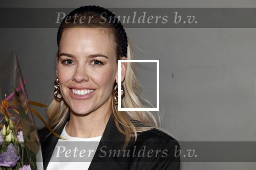 Amsterdam 27 maart 2024
Boekpresentatie Nino Wilkes in boom boom Chicago. Kate Kuyt