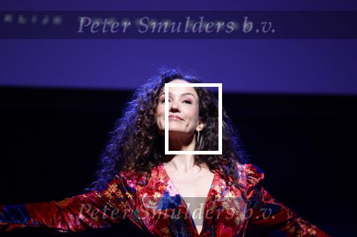 Amsterdam 14 maart 2024
Presentatie nieuwe show Hans Klok in Carre . Katja Schuurman doet presentatie.