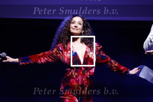 Amsterdam 14 maart 2024
Presentatie nieuwe show Hans Klok in Carre . Katja Schuurman doet presentatie.