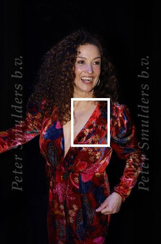 Amsterdam 14 maart 2024
Presentatie nieuwe show Hans Klok in Carre . Katja Schuurman doet presentatie.