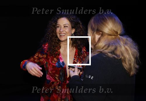 Amsterdam 14 maart 2024
Presentatie nieuwe show Hans Klok in Carre . Katja Schuurman doet presentatie. Karin Riethoven interviewt Katja Schuurman