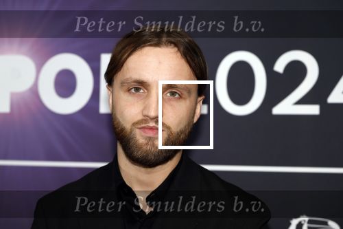 Leusden 4 maart 2024
Uitreikings edisons pop 2024 in het AFAS theater in Leusden. Dj Kevin