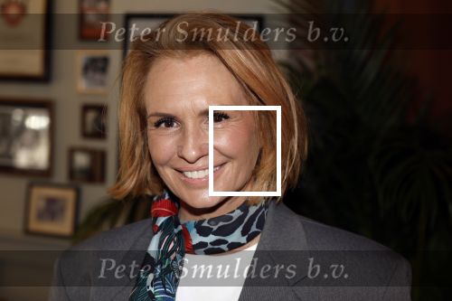 Amsterdam 27 maart 2024
Boekpresentatie Nino Wilkes in boom boom Chicago. leontine Ruiters kwam met een kennis