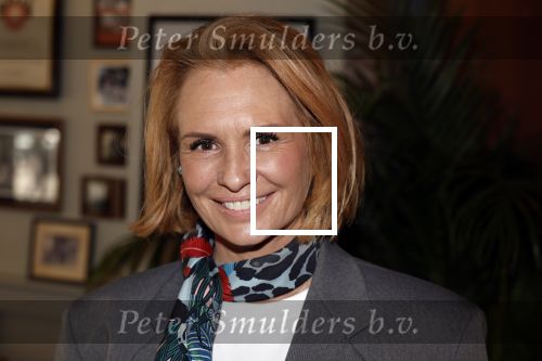 Amsterdam 27 maart 2024
Boekpresentatie Nino Wilkes in boom boom Chicago. leontine Ruiters kwam met een kennis