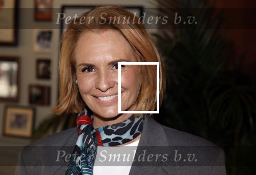 Amsterdam 27 maart 2024
Boekpresentatie Nino Wilkes in boom boom Chicago. leontine Ruiters kwam met een kennis