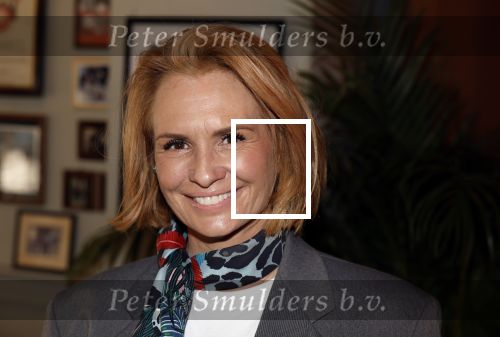 Amsterdam 27 maart 2024
Boekpresentatie Nino Wilkes in boom boom Chicago. leontine Ruiters kwam met een kennis