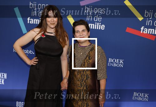 Amsterdam 15 maart 2024
Boekenbal in de stadschouwburg. Lilianne Ploumen en Alma Mathijsen