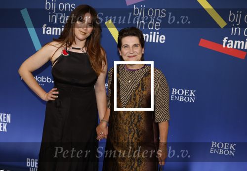 Amsterdam 15 maart 2024
Boekenbal in de stadschouwburg. Lilianne Ploumen en Alma Mathijsen
