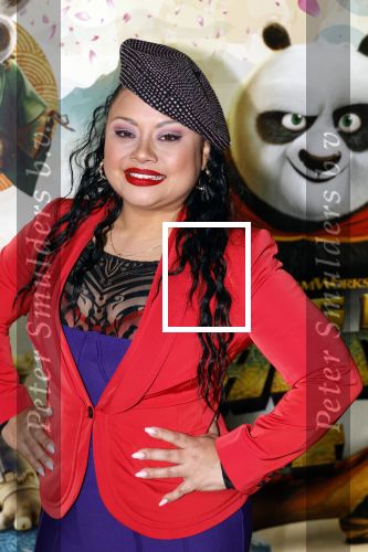 Amsterdam 10 maart 2024
Premiere Kung Fu Panda in de pathe Arena. Linda Wagemakers kwam met haar man en 2 dochters