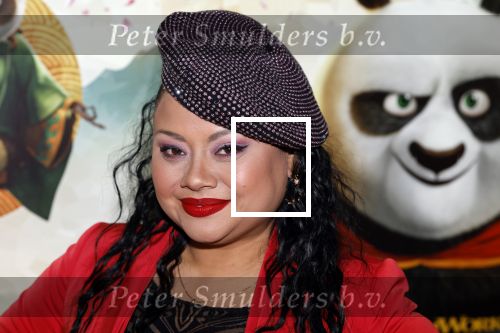 Amsterdam 10 maart 2024
Premiere Kung Fu Panda in de pathe Arena. Linda Wagemakers kwam met haar man en 2 dochters