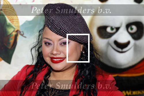 Amsterdam 10 maart 2024
Premiere Kung Fu Panda in de pathe Arena. Linda Wagemakers kwam met haar man en 2 dochters