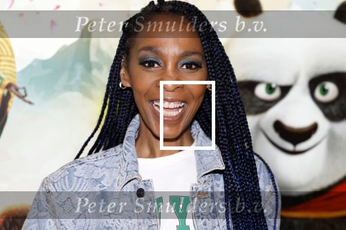 Amsterdam 10 maart 2024
Premiere Kung Fu Panda in de pathe Arena. Lucretia v d Vloot met man en dochter