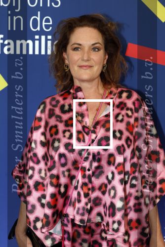 Amsterdam 15 maart 2024
Boekenbal in de stadschouwburg. Maike Meijer