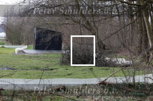 Noordwijkerhout 1 maart 2024
De bouw van de nieuwe villa / huis van Martien Meiland Erica Meiland en Maxime Meiland gaat binnenkort beginnen.