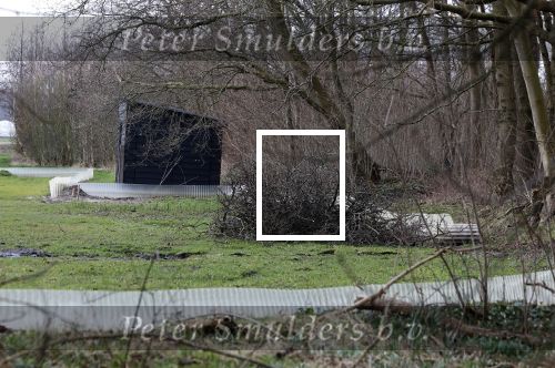 Noordwijkerhout 1 maart 2024
De bouw van de nieuwe villa / huis van Martien Meiland Erica Meiland en Maxime Meiland gaat binnenkort beginnen.